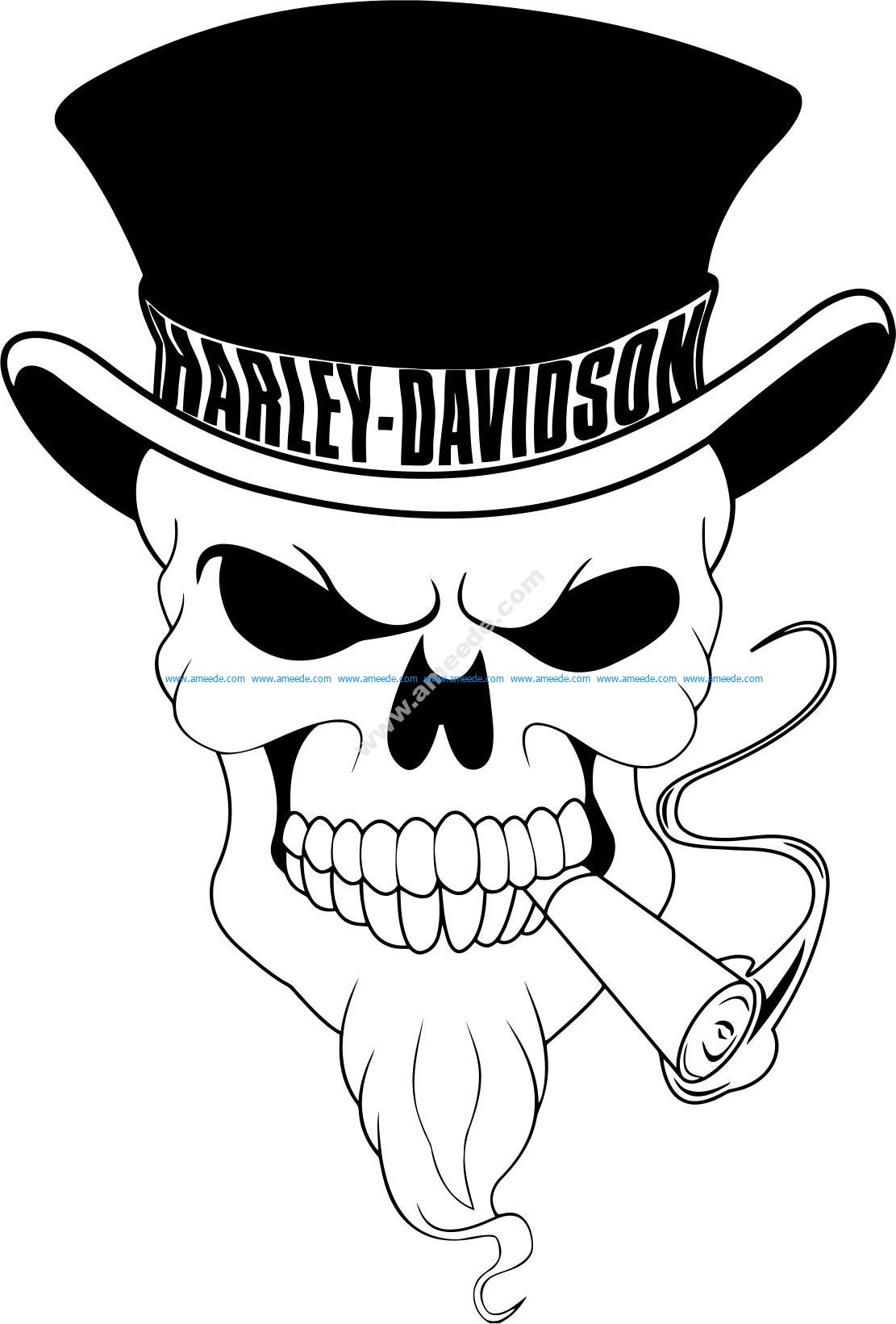 Harley Davidson Skull Vector – Free Download Vector Files