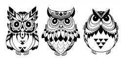 Owls Vector Art