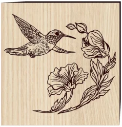 Hummingbird E0004605 file cdr and dxf free vector download for laser engraving machine