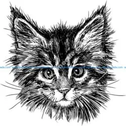 Hand Drawn Cat