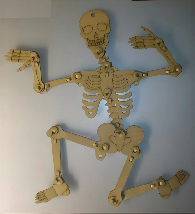 Articulated Skeleton free download vector files Laser cut and CNC cut wood