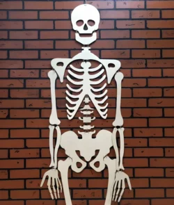 Human Skeleton – Free download vector file Laser cut and CNC Cut Wood