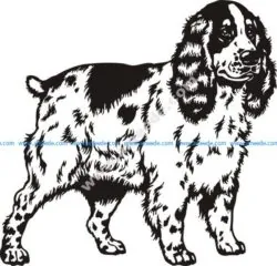 Spaniel dog