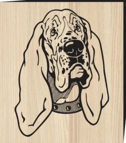 Basset Hound Dog F0001291 file cdr and dxf free vector download for print or laser engraving machines