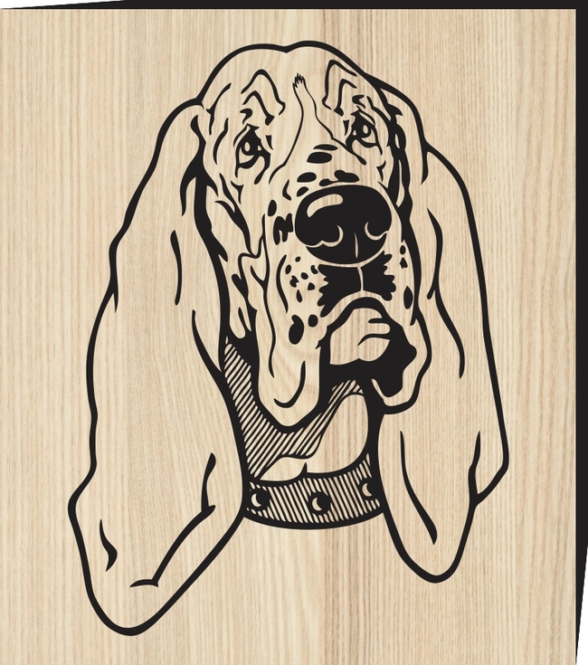 Basset Hound Dog F0001291 file cdr and dxf free vector download for print or laser engraving machines