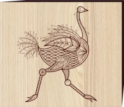 Ostrich F0001409 file cdr and dxf free vector download for print or laser engraving machines