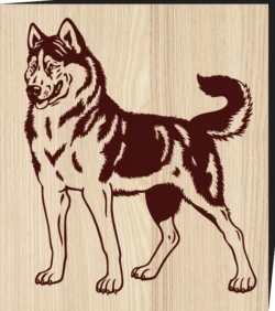 Siberian husky Stock F0001290 file cdr and dxf free vector download for print or laser engraving machines