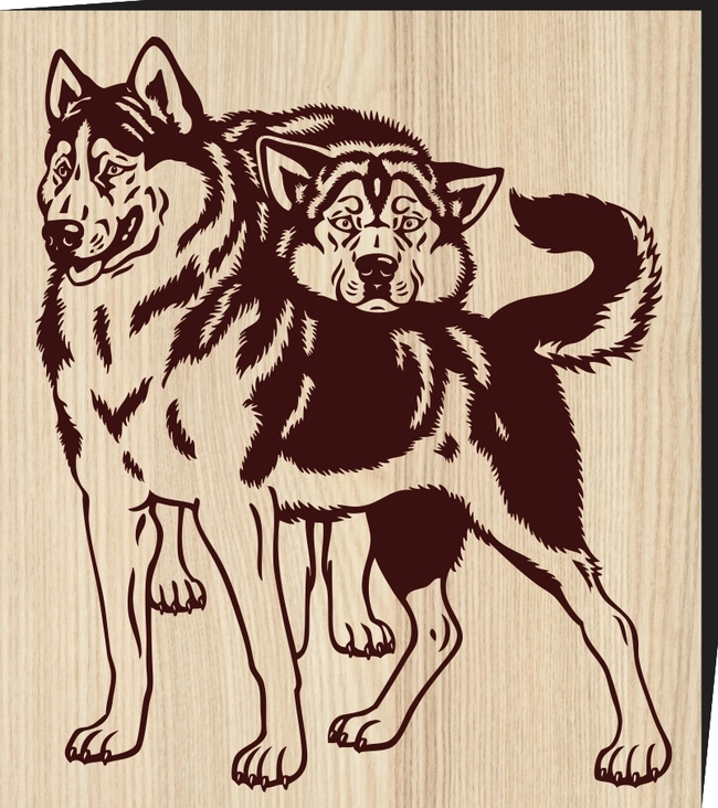 Siberian husky sled dogs F0001300 file cdr and dxf free vector download for print or laser engraving machines