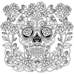 Skull Roses Vector