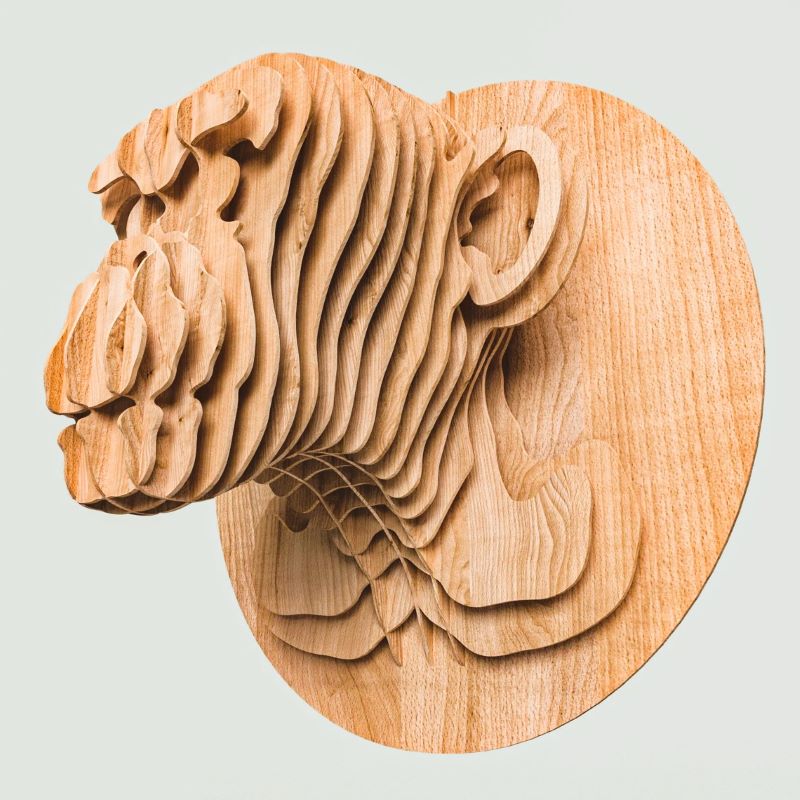 Monkey Head Plywood