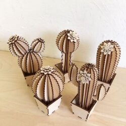 Wooden cactus flowers