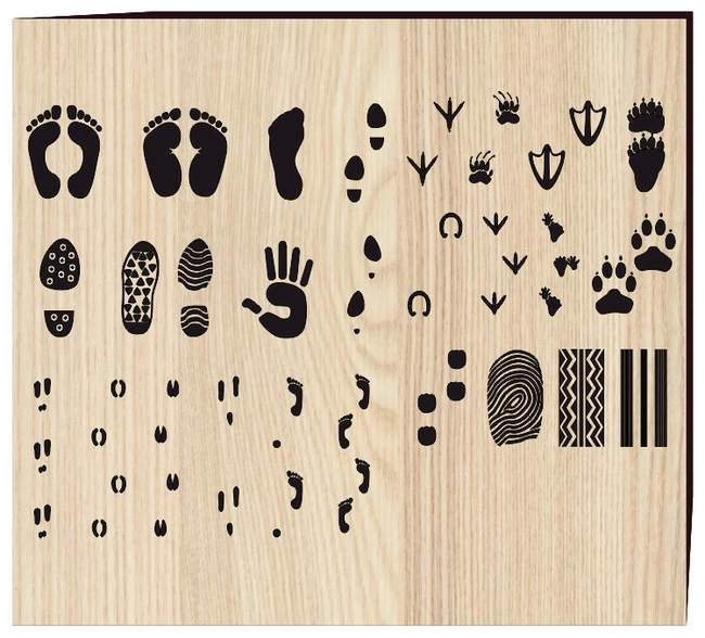 Footprint Silhouette E0002615 file cdr and dxf pdf free vector download for laser cut