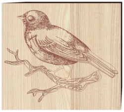 Sitting Bird  E0002681 file cdr and dxf free vector download for print or laser engraving machines