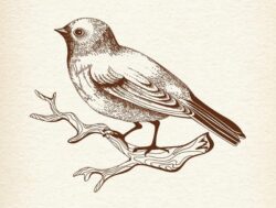 Sitting Bird – Free vector file Laser Wood