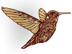 Zen hummingbird F0002729 file cdr and dxf free vector download for print or laser engraving machines