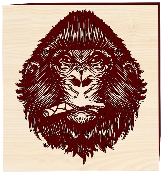 Smoking cigar chimp F0002890 file cdr and dxf free vector download for print or laser engraving machines