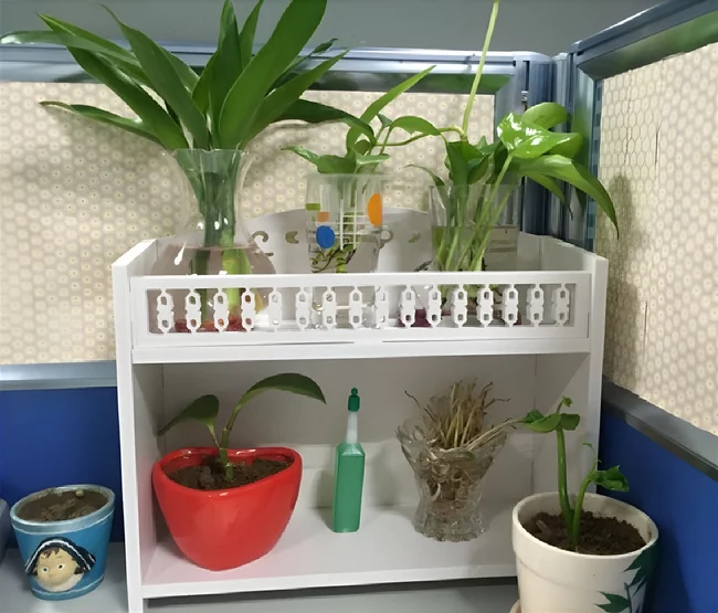 Laser Cut Shelf Rack Desk Organizer