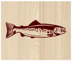 Salmon fish E0003205 file cdr and dxf free vector download for print or laser engraving machines