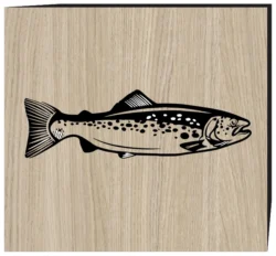 Salmon fish E0003205 file cdr and dxf free vector download for print or laser engraving machines