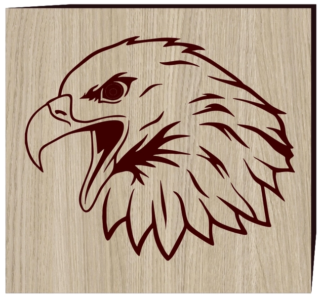 The head of a falcon hunting E0003191 file cdr and dxf free vector download for print or laser engraving machines