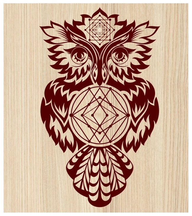 Owl E0003687 file cdr and dxf free vector download for print or laser engraving machines