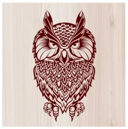 Owl  E0003689 file cdr and dxf free vector download for print or laser engraving machines