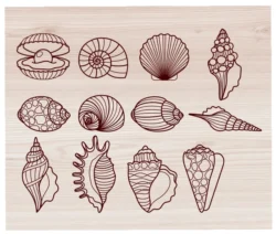 Shells vector set E0004510 file cdr and dxf free vector download for print or laser engraving machines