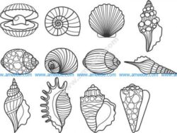 shells vector set – Free Download Vector Files