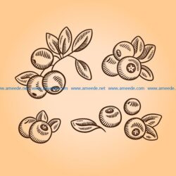 cranberries file cdr and dxf free vector download for print or laser engraving machines