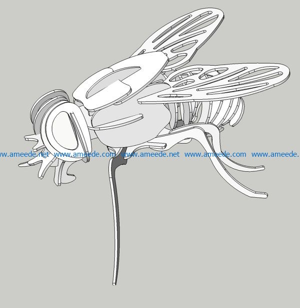 fly file cdr and dxf free vector download for Laser cut