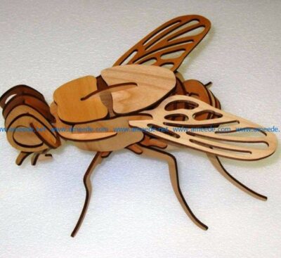3D fly tempates file cdr and dxf free vector download for Laser cut