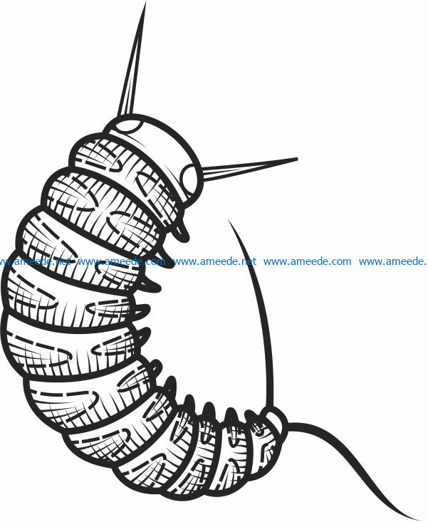 Bug file cdr and dxf free vector download for laser engraving machines