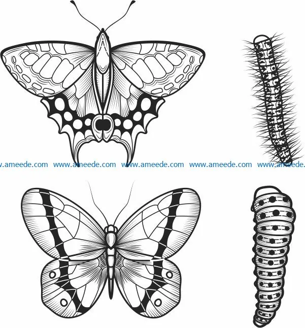 Caterpillars and butterflies file cdr and dxf free vector download for laser engraving machines