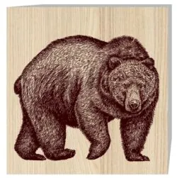 Bear E0019635 file cdr and dxf free vector download for laser engraving machine