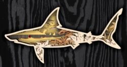 Layered shark E0022048 file cdr and dxf free vector download for Laser cut