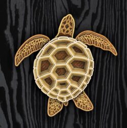 Multilayer turtle E0022051 file cdr and dxf free vector download for Laser cut