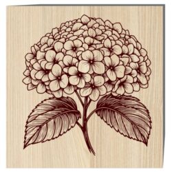 Hydrangea E0022552 file cdr and dxf free vector download for laser engraving machine