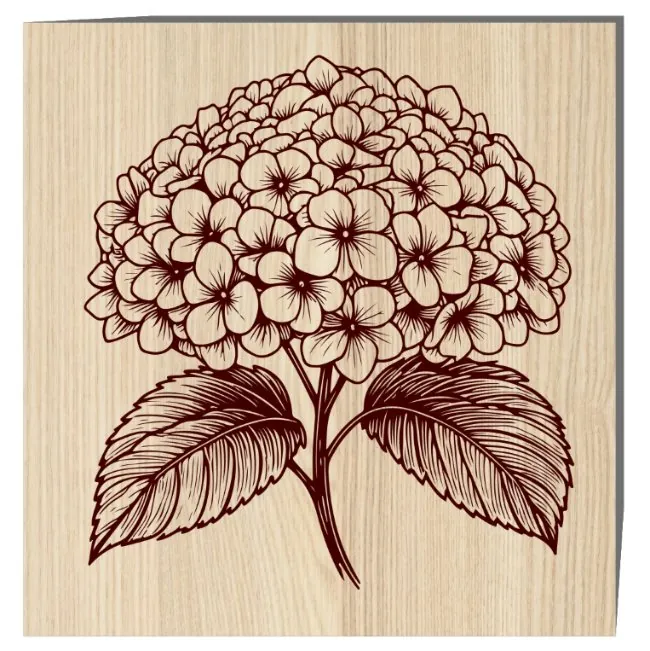 Hydrangea E0022552 file cdr and dxf free vector download for laser engraving machine