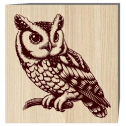 Owl E0022550 file cdr and dxf free vector download for laser engraving machine