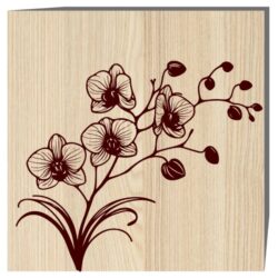 Orchid E0022551 file cdr and dxf free vector download for laser engraving machine
