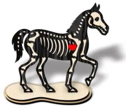 Skeleton horse E0022677 file cdr and dxf pdf free vector download for Laser cut