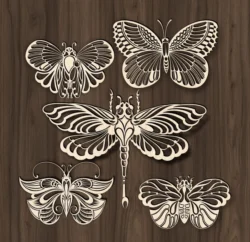 butterfly collection file cdr and dxf free vector download for laser engraving machines